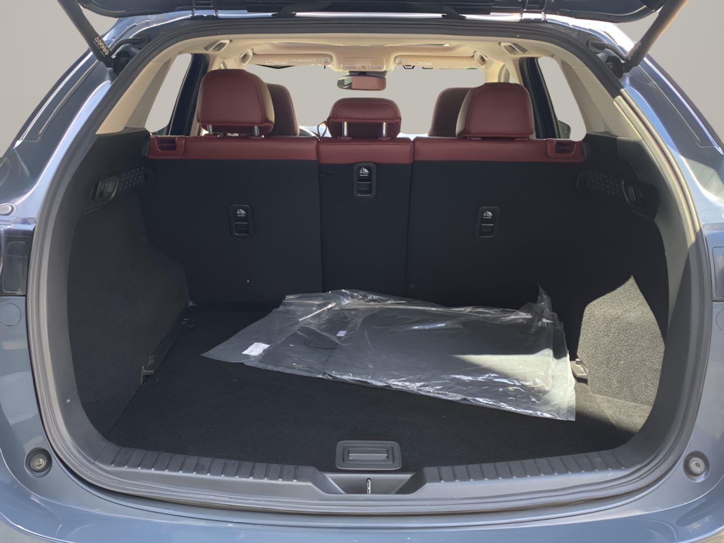 2022 Mazda Mazda CX-5 2.5 S Carbon Edition