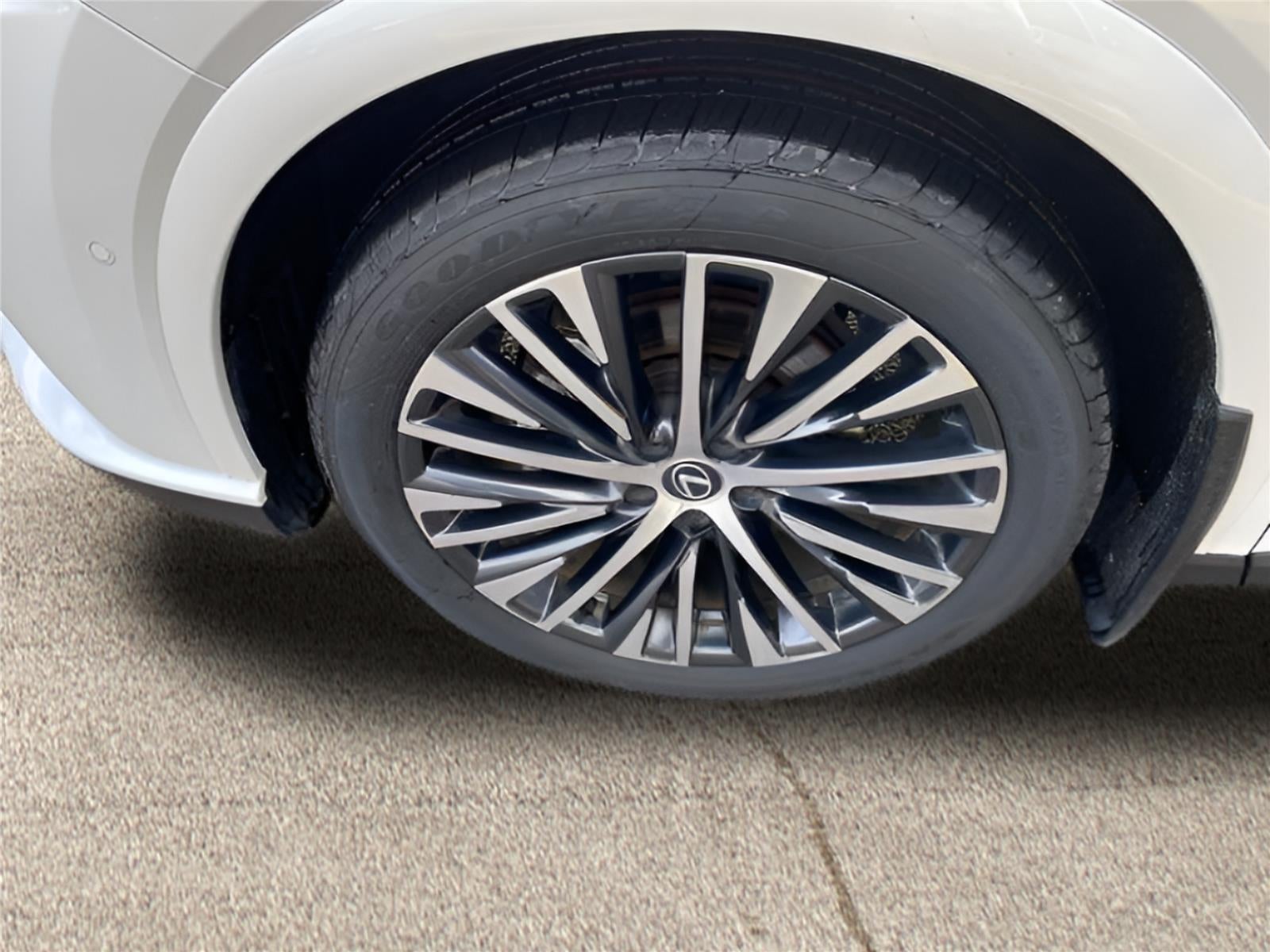 2024 Lexus RX Premium +