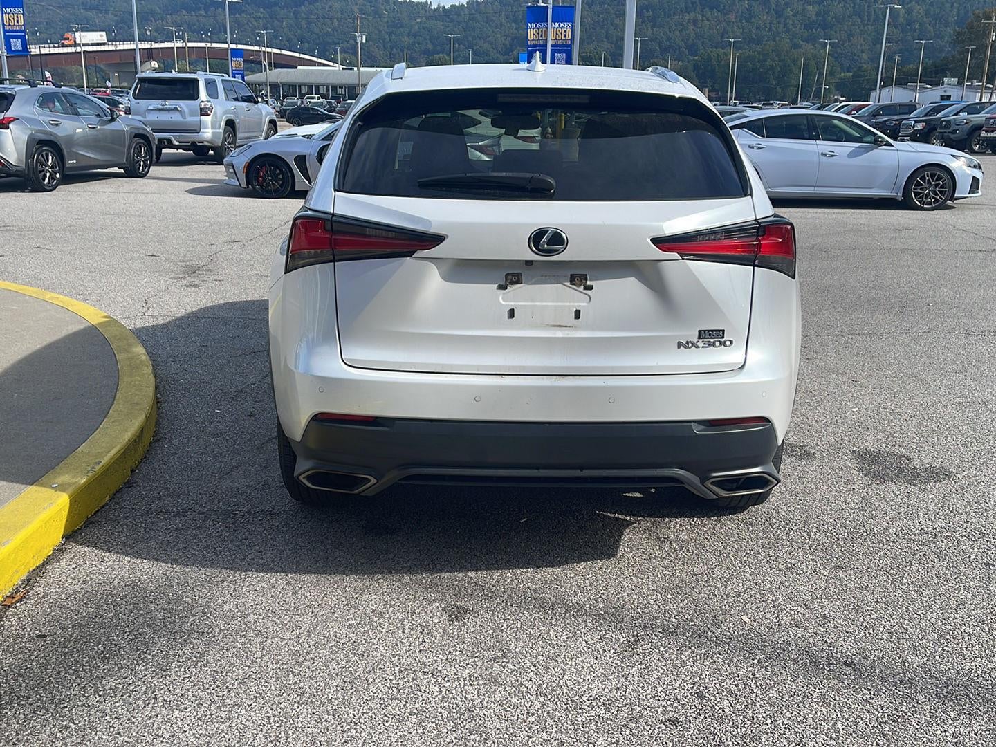 2021 Lexus NX NX 300