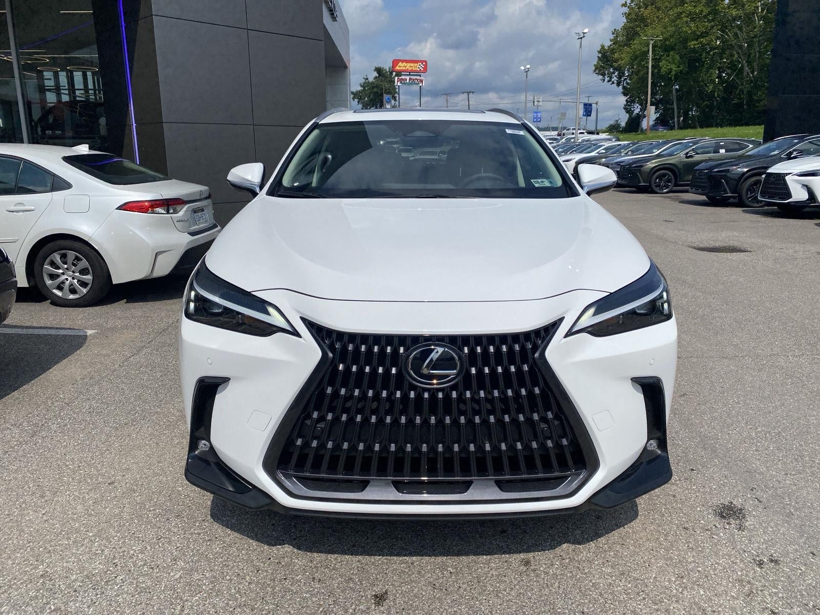 2026 Lexus NX 350 PREMIUM AWD