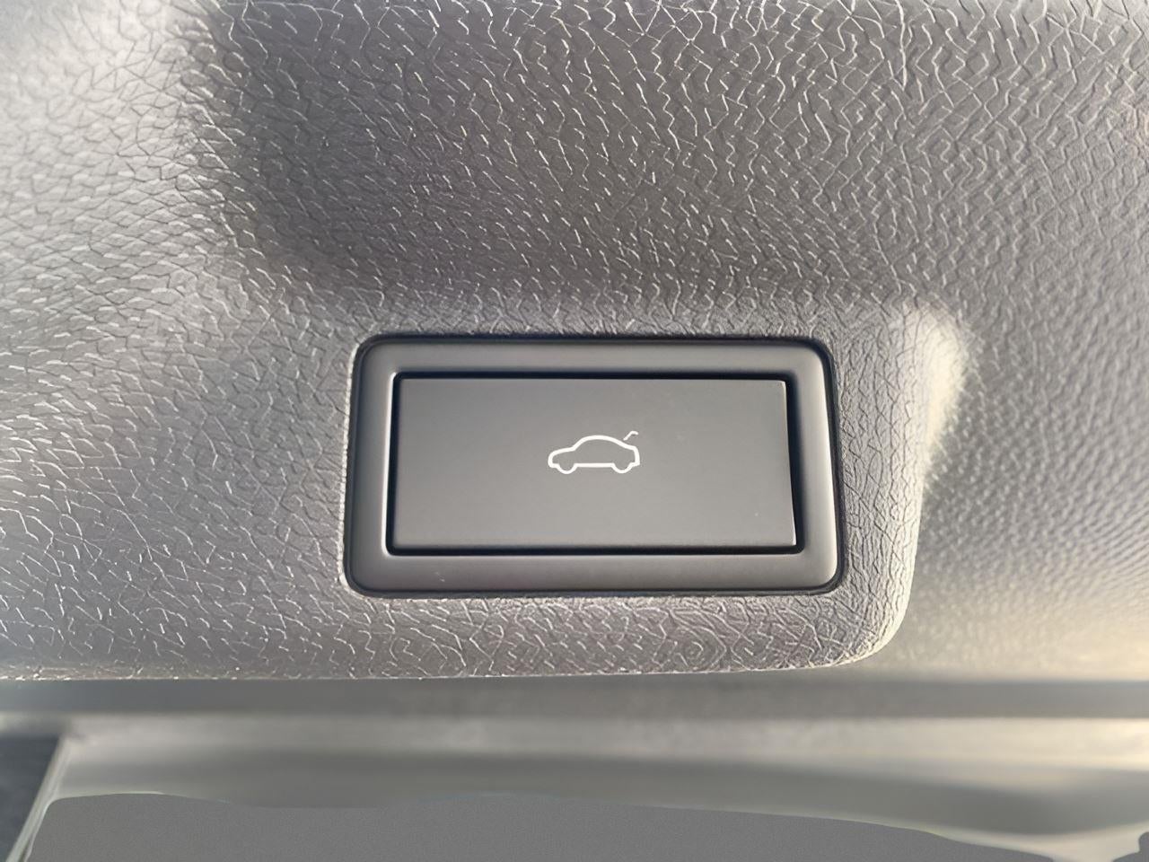 2025 Volkswagen ID. Buzz 1st Edition