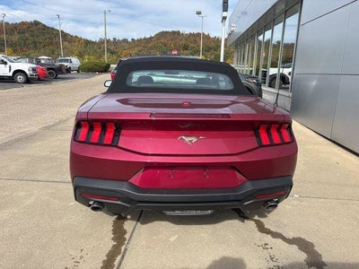 2026 Ford Mustang EcoBoost Premium