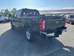 2025 Ford Super Duty F-250 SRW XLT