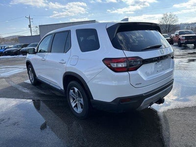 2024 Honda Pilot EX-L 8 Passenger
