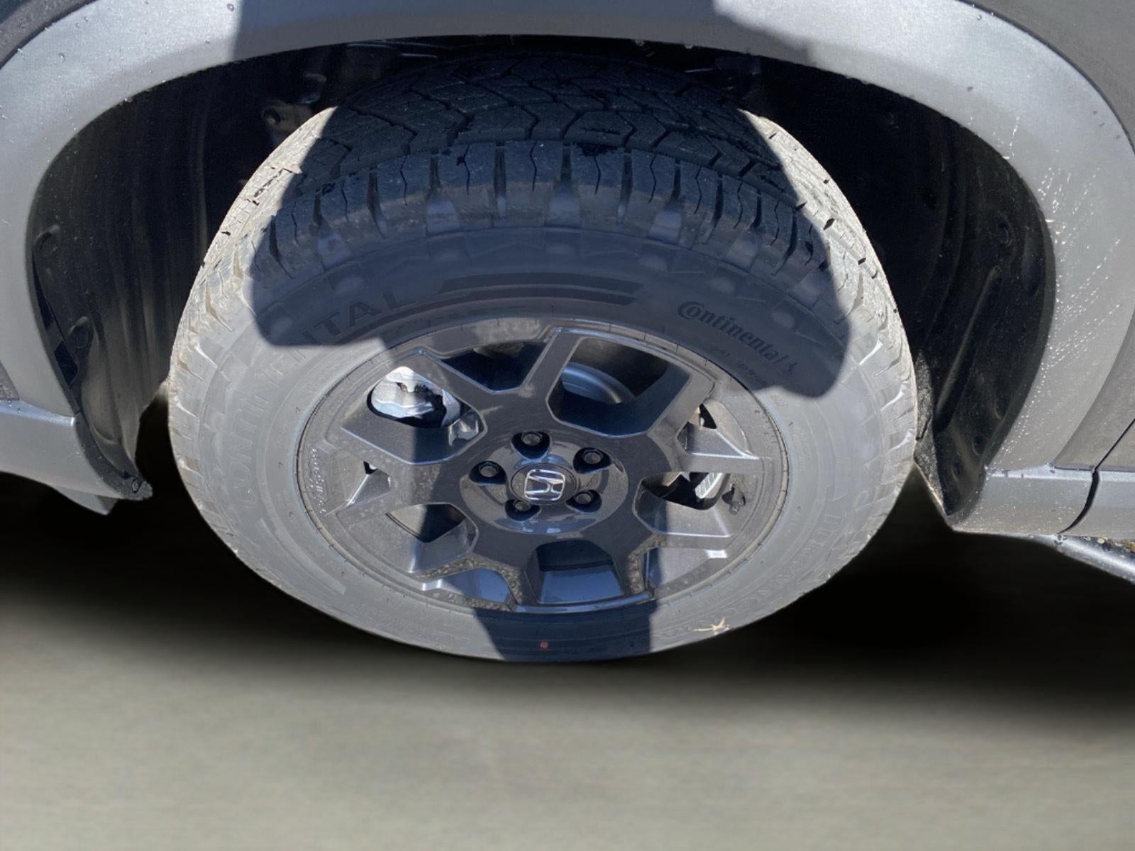 2026 Honda Pilot TrailSport